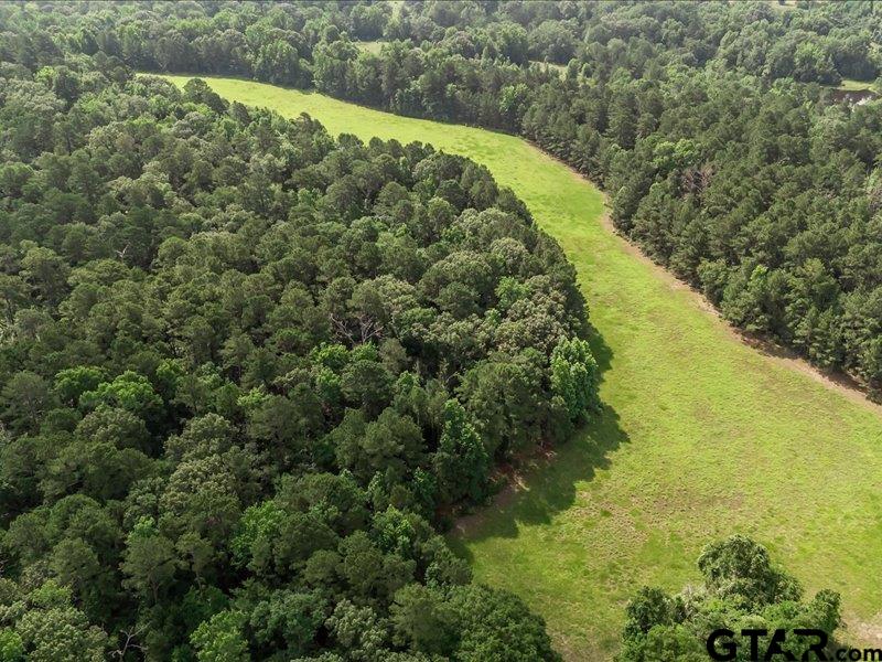 0 County Road 100 Elkhart, TX 75839 - Photo 10 of 13 a view of a lake from a yard