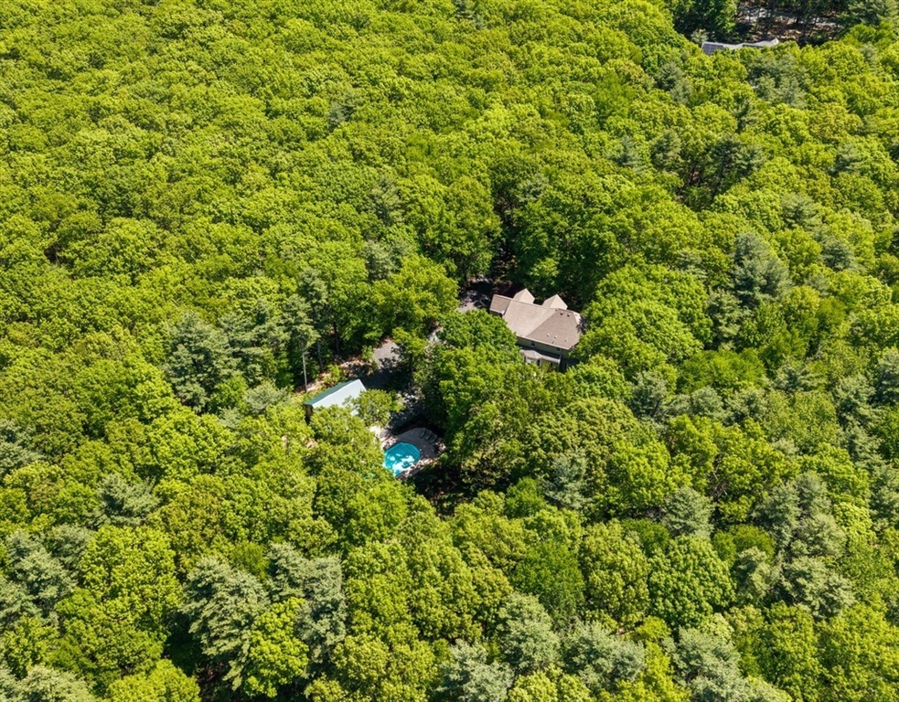 59 Smith Road Northborough, MA 01532 - Photo 10 of 42