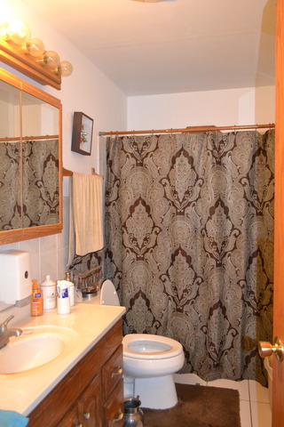 1S205 Valley Road Lombard, IL 60148 - Photo 12 of 21 a bathroom with a sink a toilet and a mirror