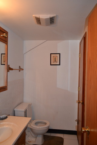 1S205 Valley Road Lombard, IL 60148 - Photo 16 of 21 a bathroom with a granite countertop toilet and a sink