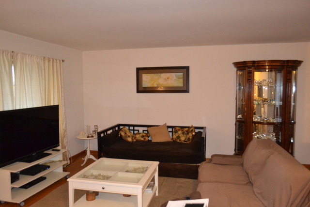 1S205 Valley Road Lombard, IL 60148 - Photo 4 of 21 a living room with furniture and a flat screen tv
