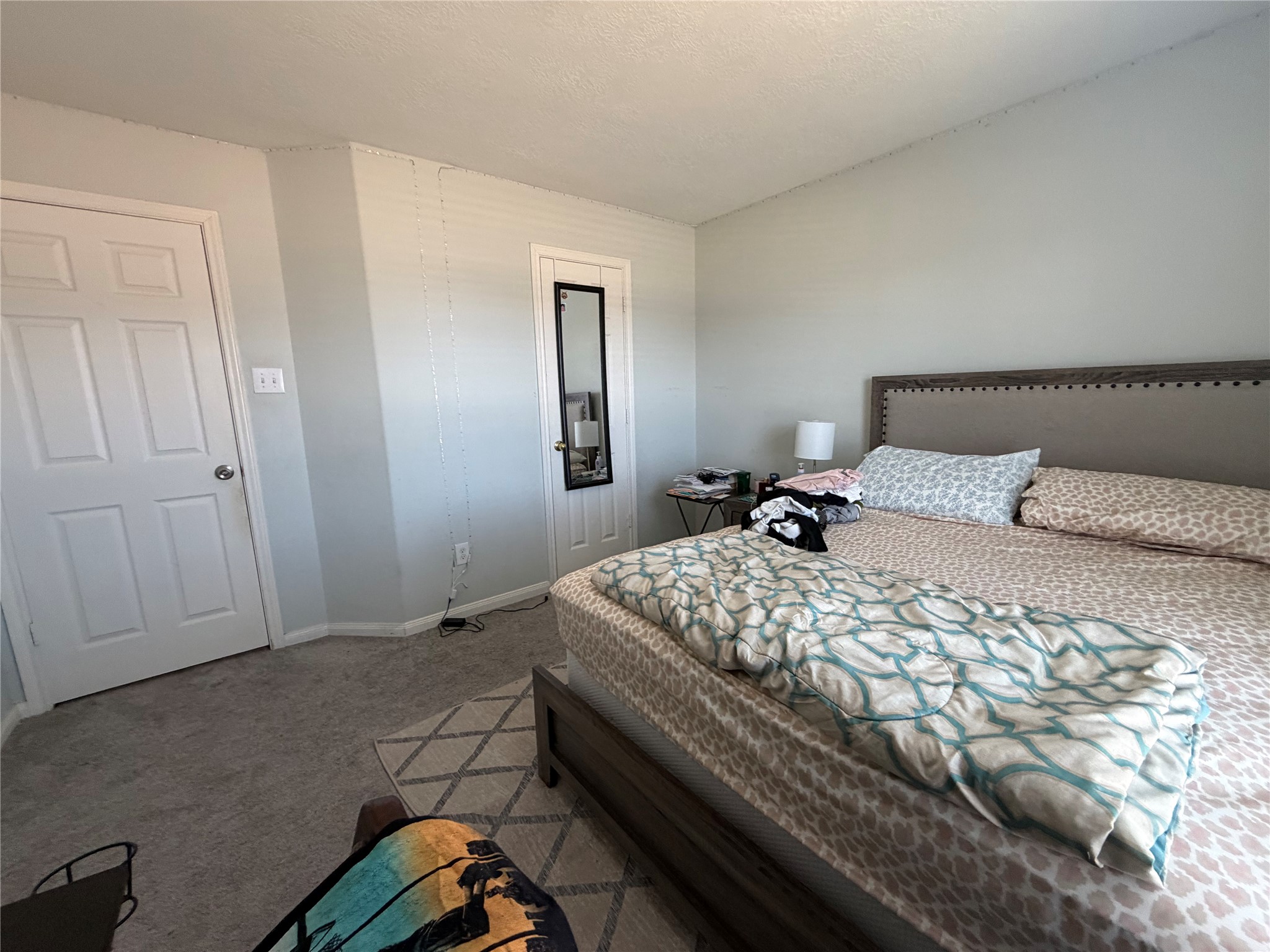 25222 Ibris Ranch Drive Katy, TX 77494 - Photo 11 of 17