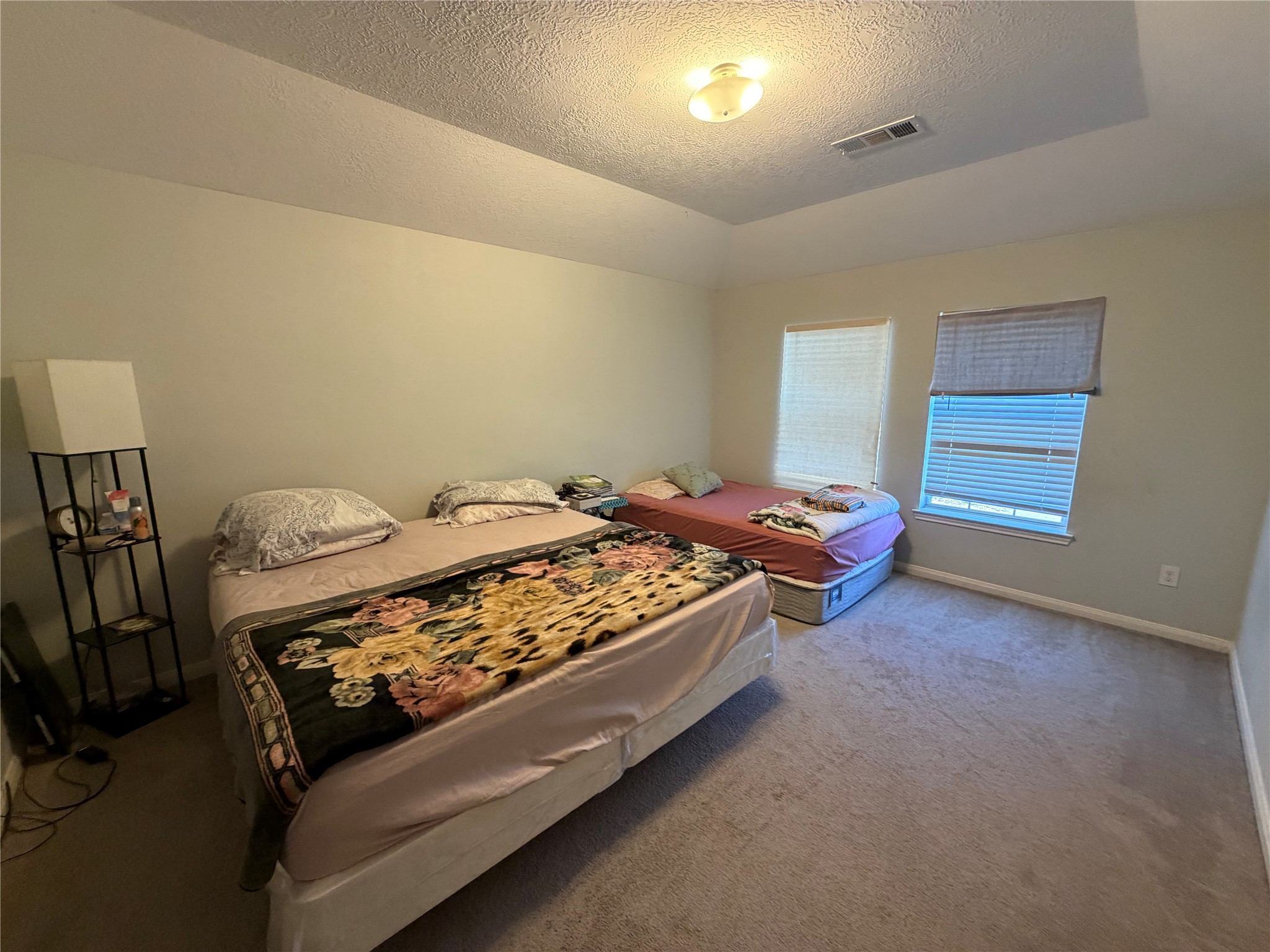 25222 Ibris Ranch Drive Katy, TX 77494 - Photo 6 of 17