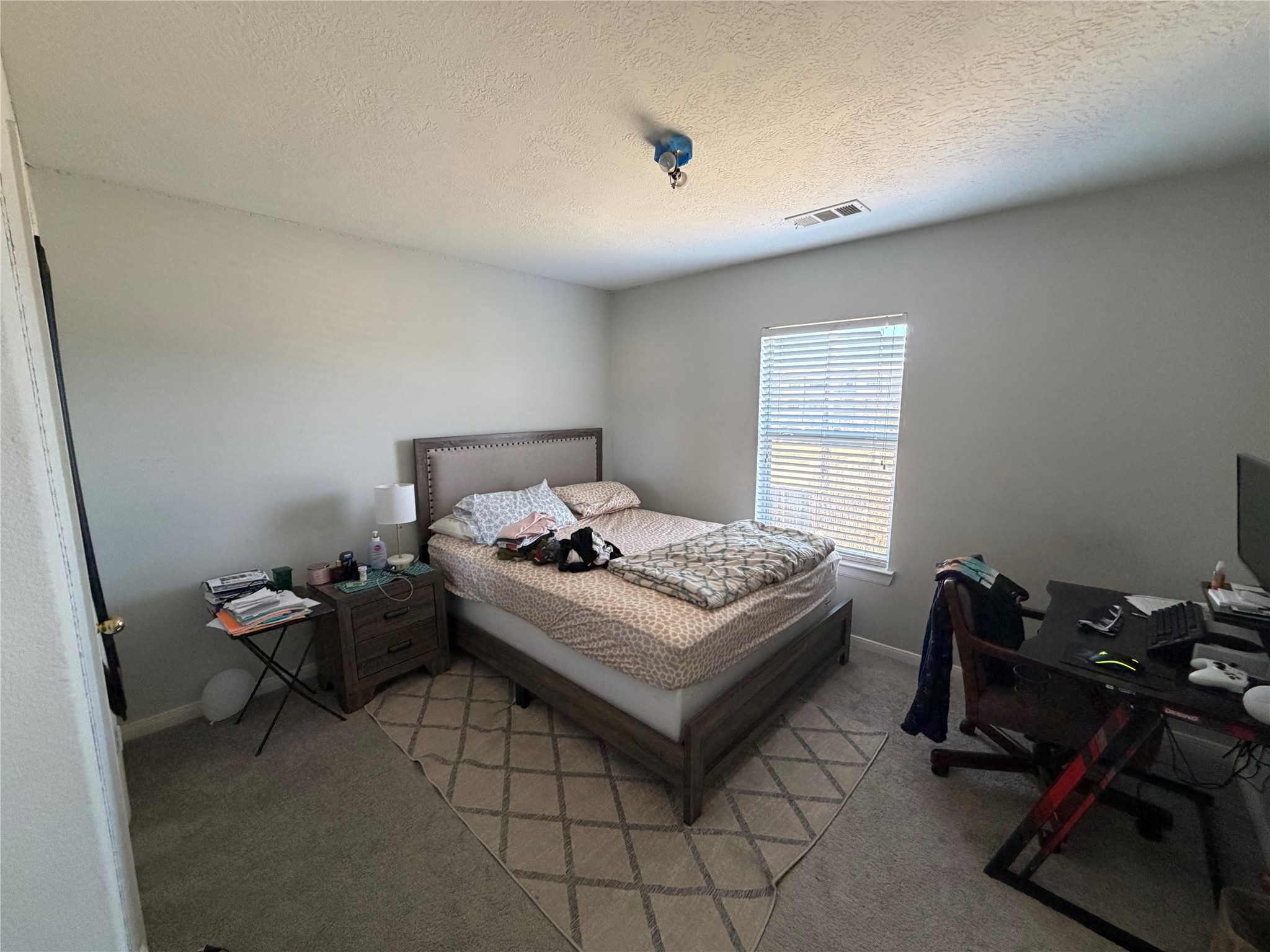 25222 Ibris Ranch Drive Katy, TX 77494 - Photo 10 of 17