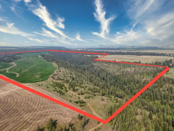 $800,000 | 45-xxx Devore Road, Davenport, WA 99122