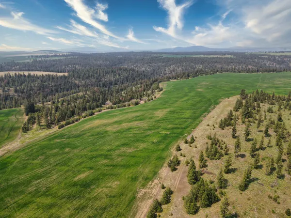 $800,000 | 45-xxx Devore Road, Davenport, WA 99122
