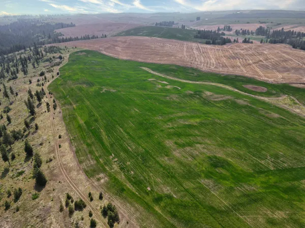 $800,000 | 45-xxx Devore Road, Davenport, WA 99122