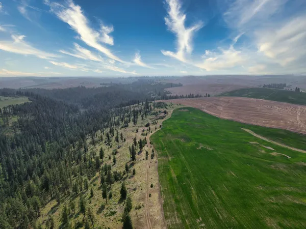 $800,000 | 45-xxx Devore Road, Davenport, WA 99122