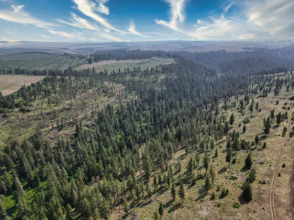 $800,000 | 45-xxx Devore Road, Davenport, WA 99122