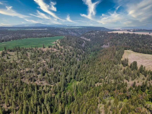 $800,000 | 45-xxx Devore Road, Davenport, WA 99122