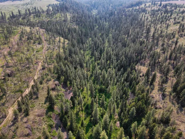 $800,000 | 45-xxx Devore Road, Davenport, WA 99122