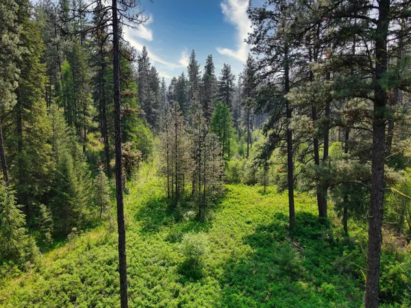 $800,000 | 45-xxx Devore Road, Davenport, WA 99122