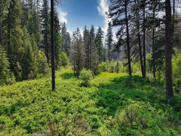 $800,000 | 45-xxx Devore Road, Davenport, WA 99122