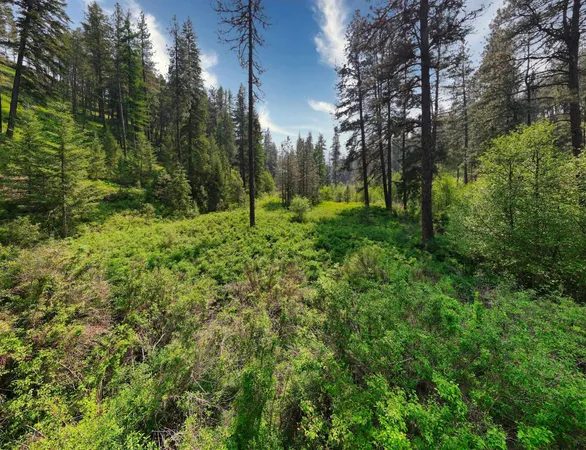 $800,000 | 45-xxx Devore Road, Davenport, WA 99122