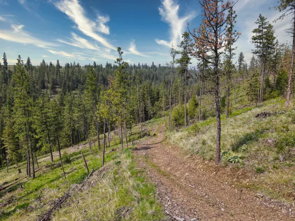 $800,000 | 45-xxx Devore Road, Davenport, WA 99122