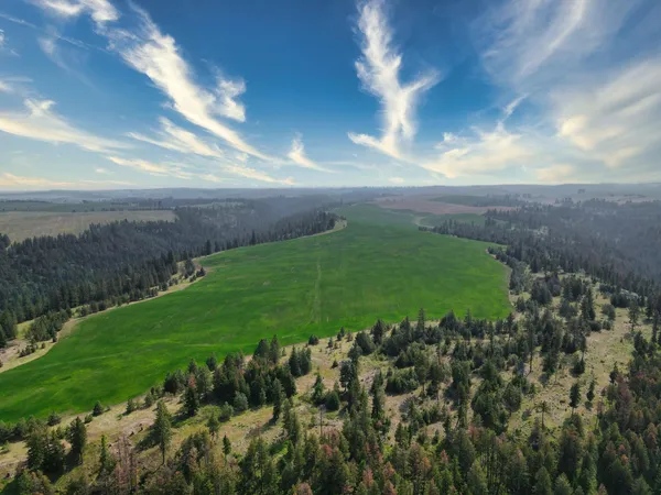 $800,000 | 45-xxx Devore Road, Davenport, WA 99122