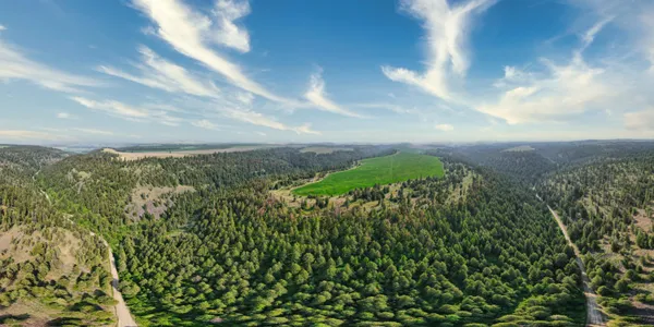 $800,000 | 45-xxx Devore Road, Davenport, WA 99122