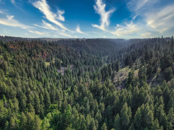 $800,000 | 45-xxx Devore Road, Davenport, WA 99122