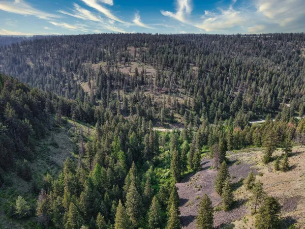 $800,000 | 45-xxx Devore Road, Davenport, WA 99122