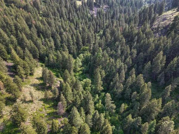 $800,000 | 45-xxx Devore Road, Davenport, WA 99122