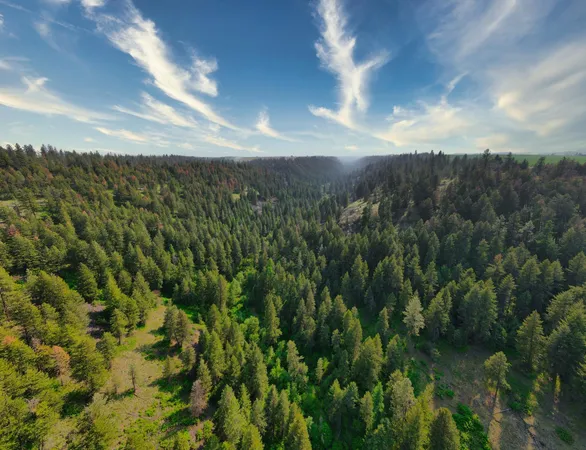 $800,000 | 45-xxx Devore Road, Davenport, WA 99122