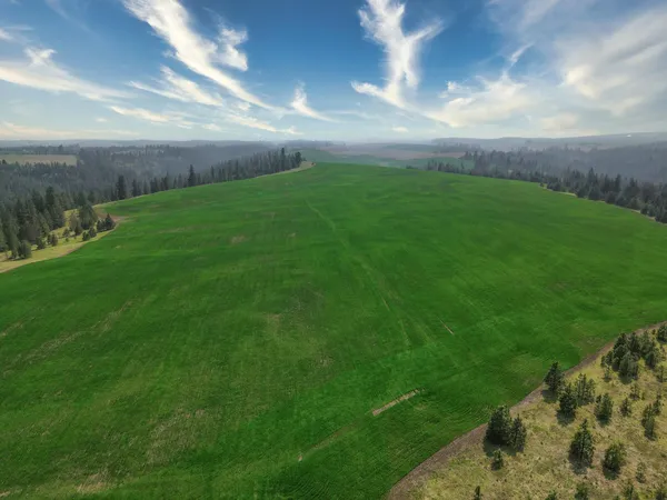 $800,000 | 45-xxx Devore Road, Davenport, WA 99122