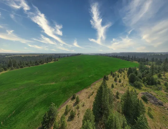 $800,000 | 45-xxx Devore Road, Davenport, WA 99122