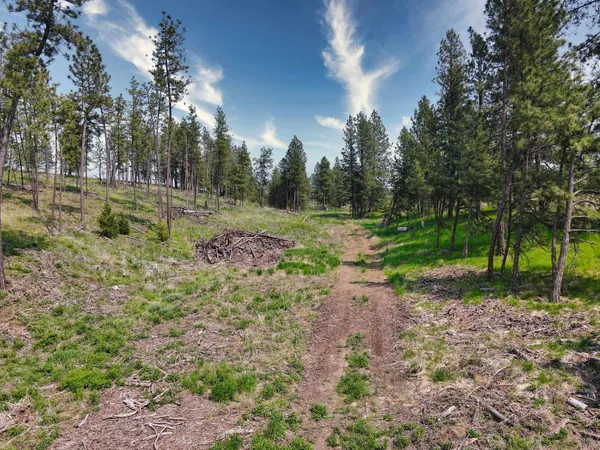 $800,000 | 45-xxx Devore Road, Davenport, WA 99122