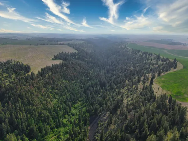 $800,000 | 45-xxx Devore Road, Davenport, WA 99122