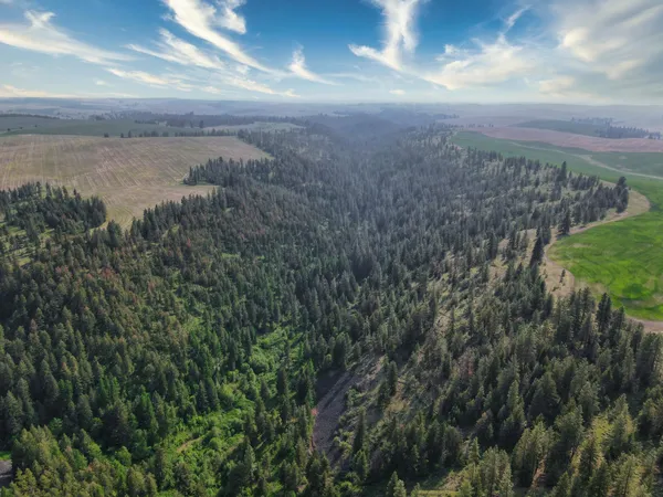 $800,000 | 45-xxx Devore Road, Davenport, WA 99122