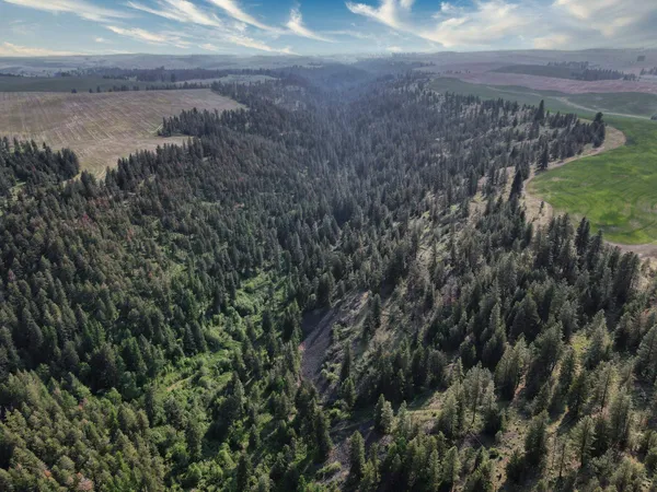 $800,000 | 45-xxx Devore Road, Davenport, WA 99122