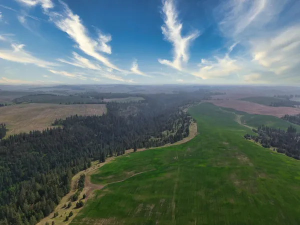 $800,000 | 45-xxx Devore Road, Davenport, WA 99122