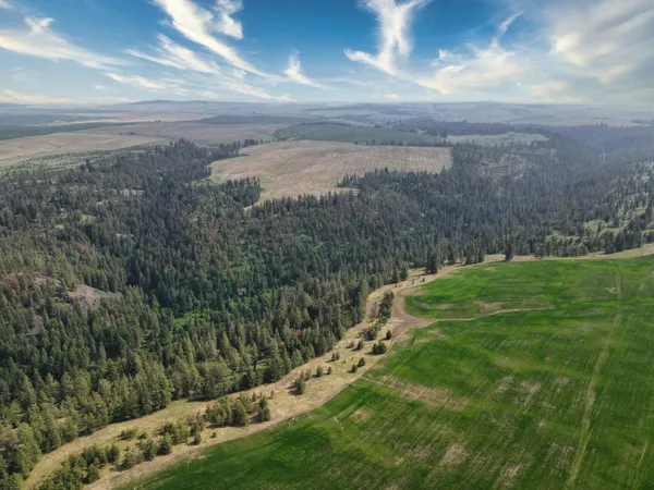 $800,000 | 45-xxx Devore Road, Davenport, WA 99122