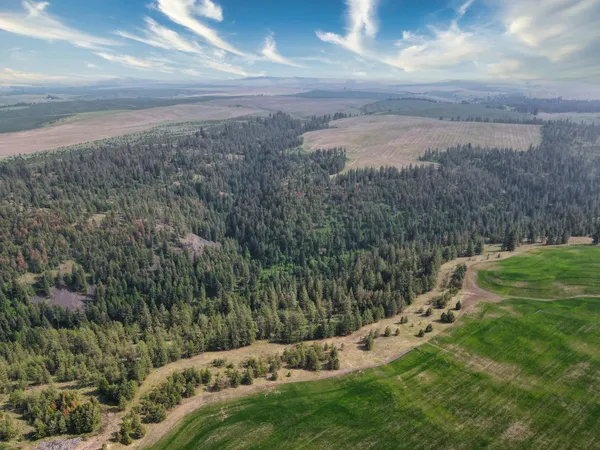 $800,000 | 45-xxx Devore Road, Davenport, WA 99122