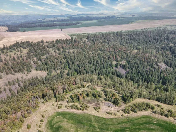 $800,000 | 45-xxx Devore Road, Davenport, WA 99122