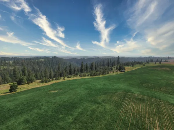 $800,000 | 45-xxx Devore Road, Davenport, WA 99122