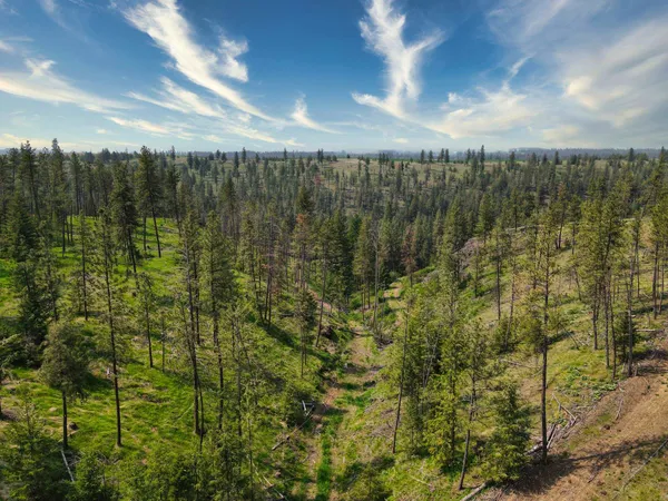 $800,000 | 45-xxx Devore Road, Davenport, WA 99122