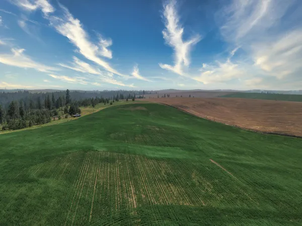 $800,000 | 45-xxx Devore Road, Davenport, WA 99122