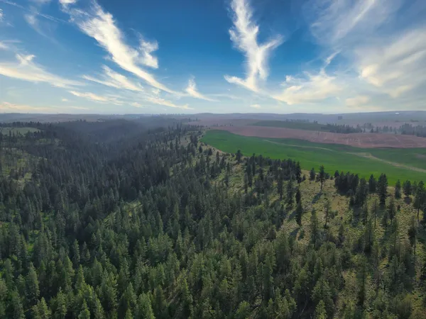 $800,000 | 45-xxx Devore Road, Davenport, WA 99122