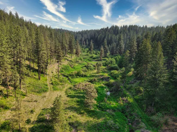 $800,000 | 45-xxx Devore Road, Davenport, WA 99122