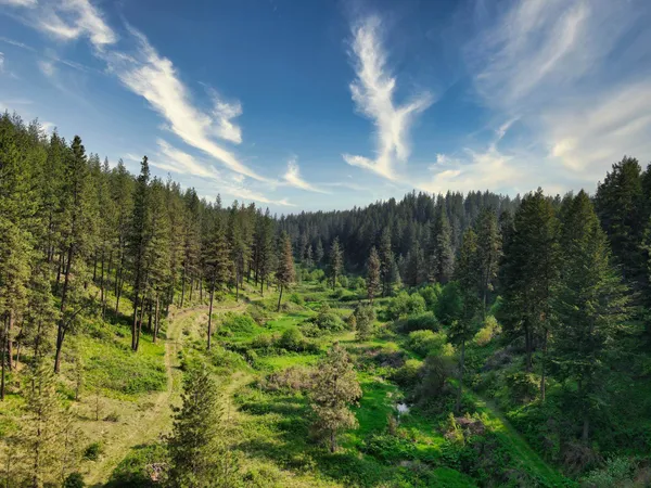 $800,000 | 45-xxx Devore Road, Davenport, WA 99122