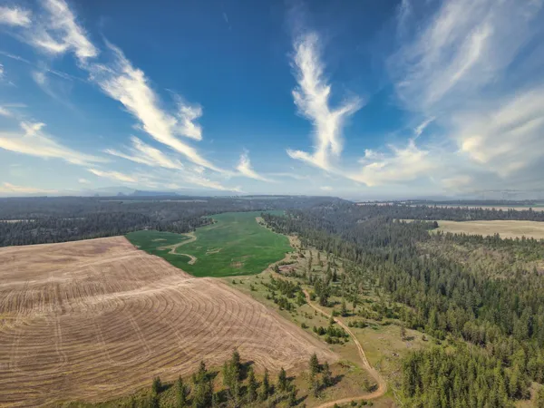 $800,000 | 45-xxx Devore Road, Davenport, WA 99122