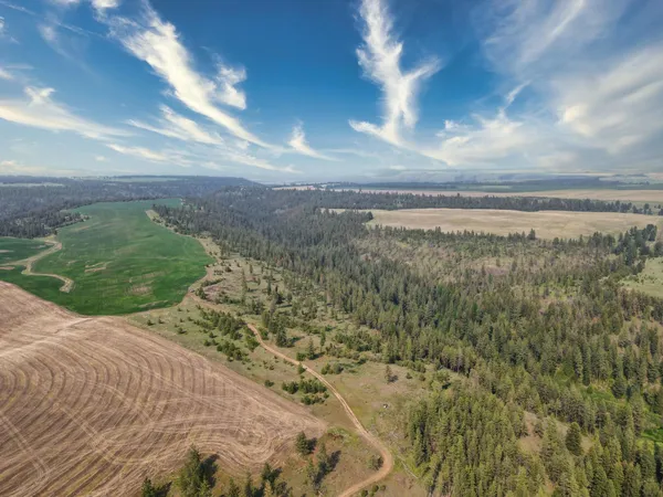 $800,000 | 45-xxx Devore Road, Davenport, WA 99122