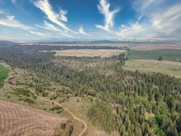 $800,000 | 45-xxx Devore Road, Davenport, WA 99122