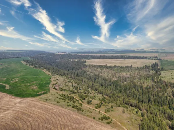 $800,000 | 45-xxx Devore Road, Davenport, WA 99122