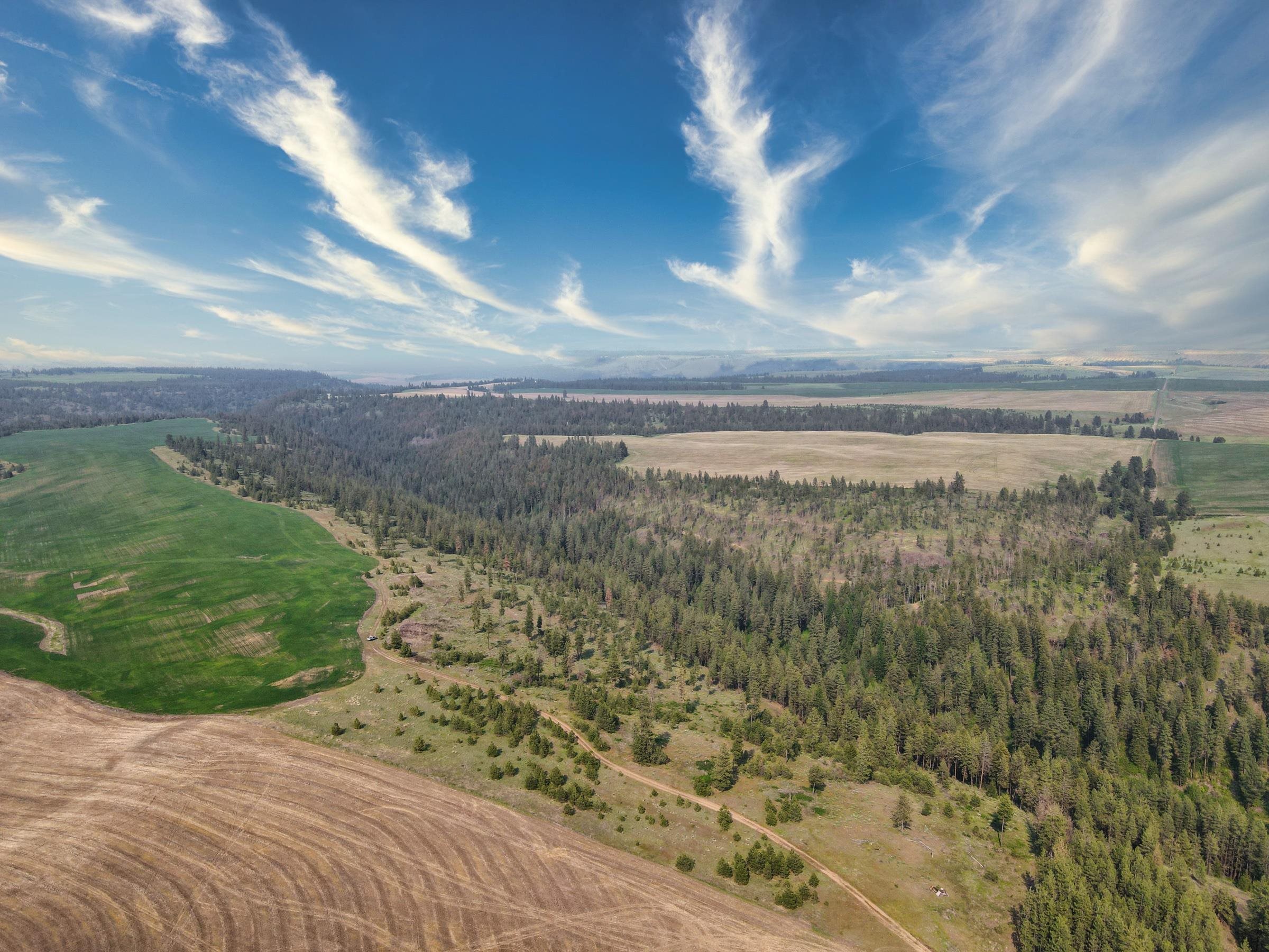 45-xxx Devore Road Davenport, WA 99122 - Photo 49 of 50