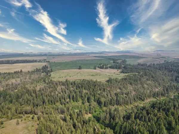 $800,000 | 45-xxx Devore Road, Davenport, WA 99122