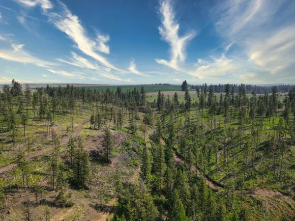 $800,000 | 45-xxx Devore Road, Davenport, WA 99122