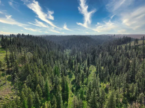 $800,000 | 45-xxx Devore Road, Davenport, WA 99122