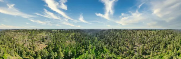 $800,000 | 45-xxx Devore Road, Davenport, WA 99122